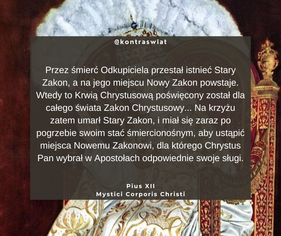 KontraŚwiat tweet media