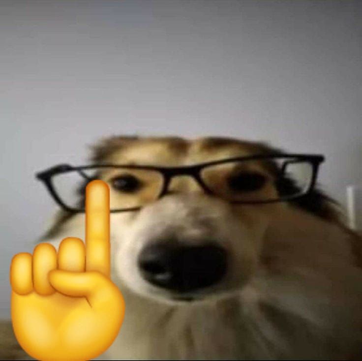 João Rock tweet media