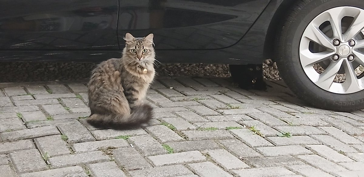 nick ໑̣ tweet media