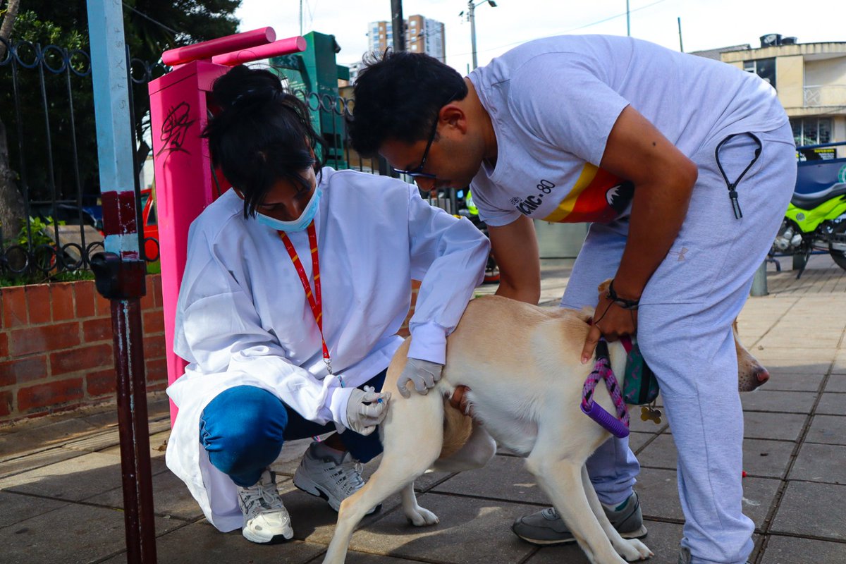Subred Centro Oriente E.S.E tweet media
