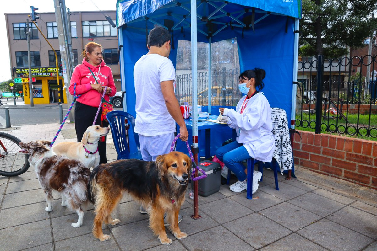 Subred Centro Oriente E.S.E tweet media