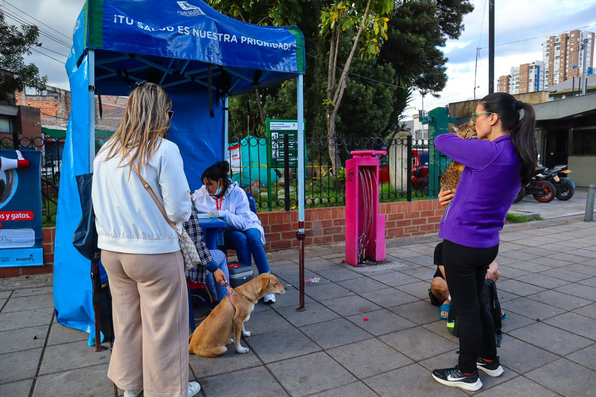 Subred Centro Oriente E.S.E tweet media