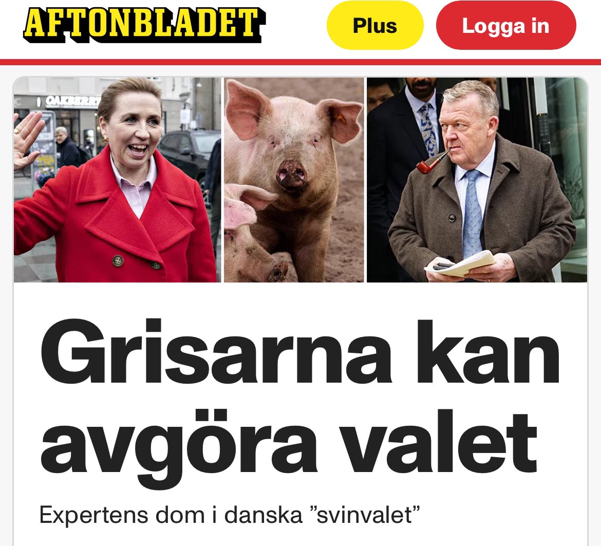 Johannes Finnlaugsson tweet media