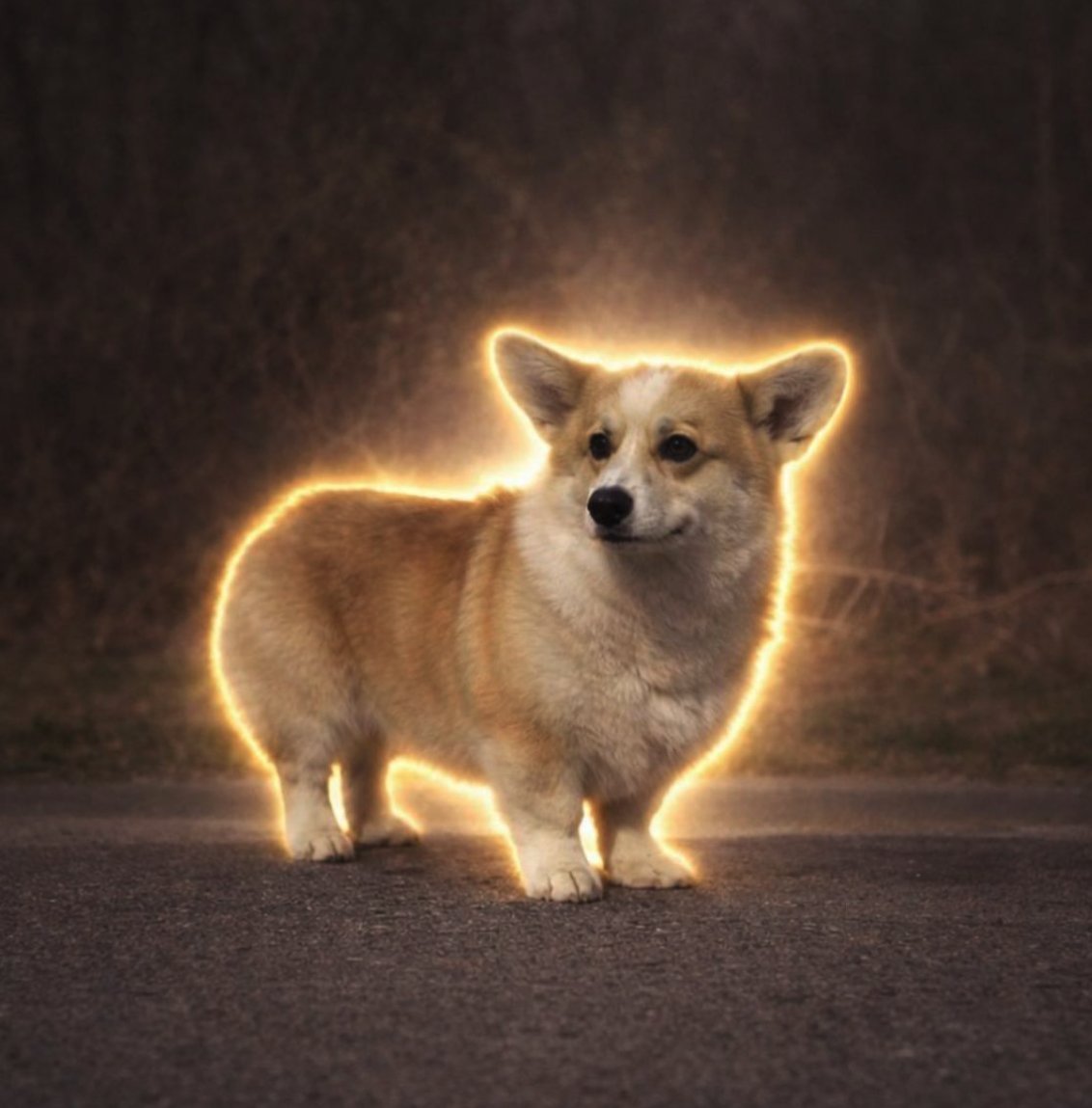 Pinky ⛓️ tweet media