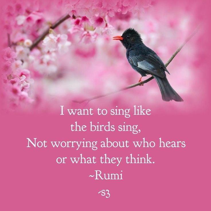 SPIRITUALITY tweet media