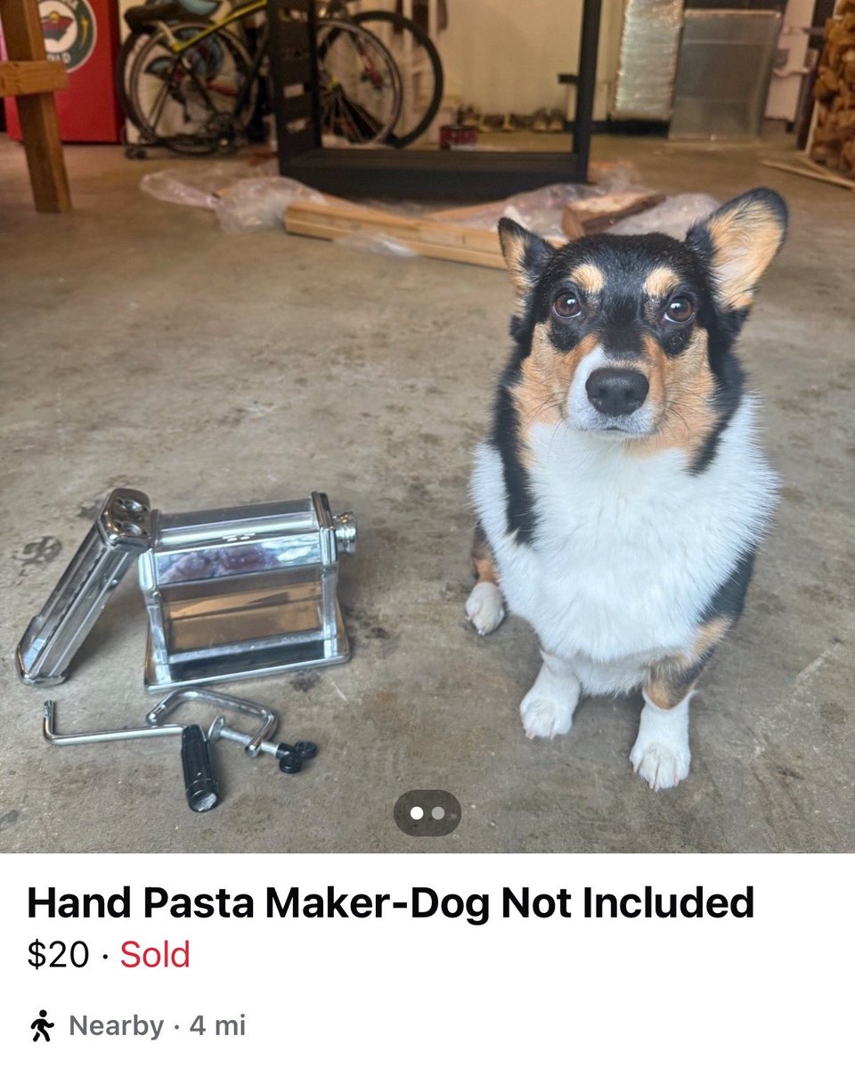 WeRateDogs tweet media