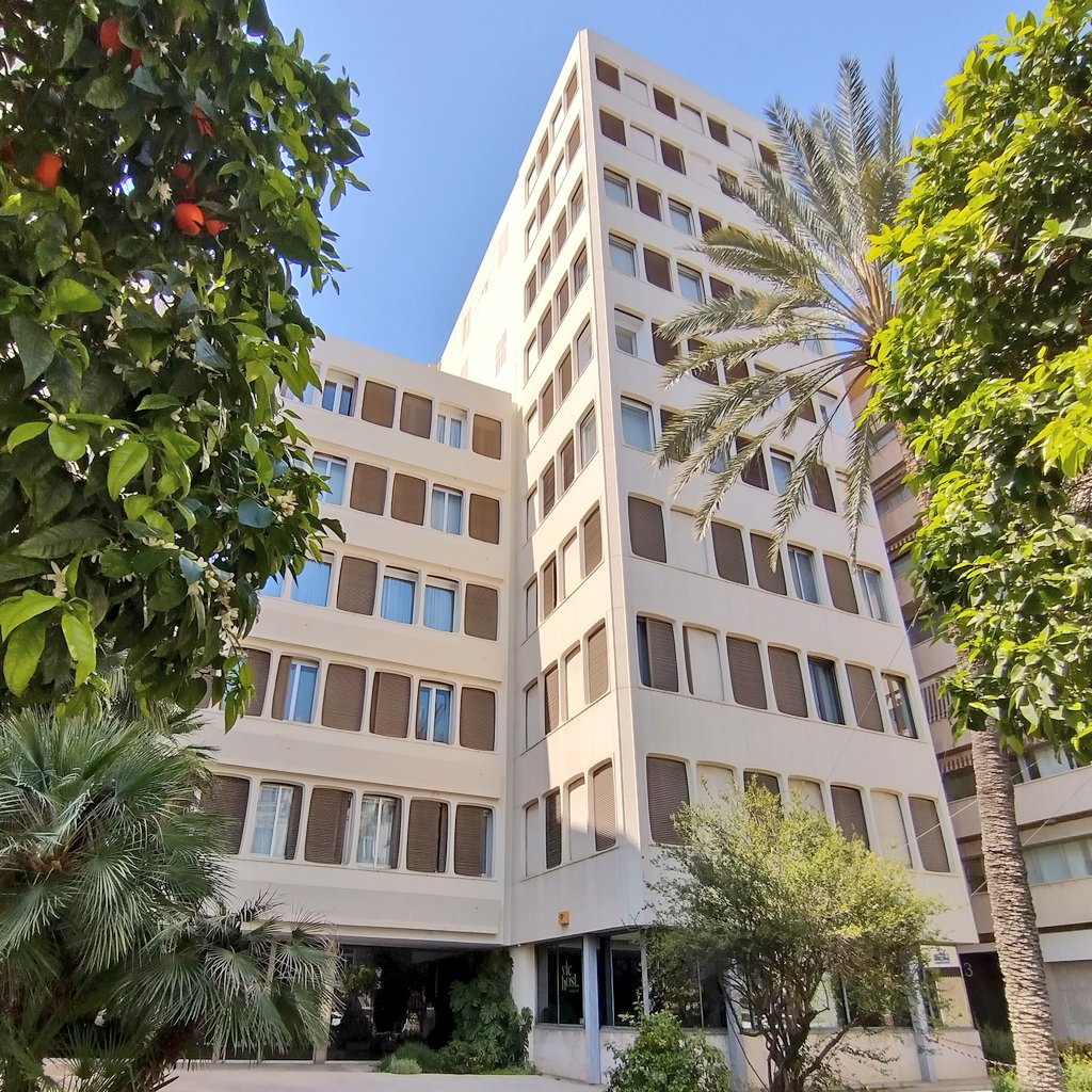 Carlos J. Irisarri tweet media