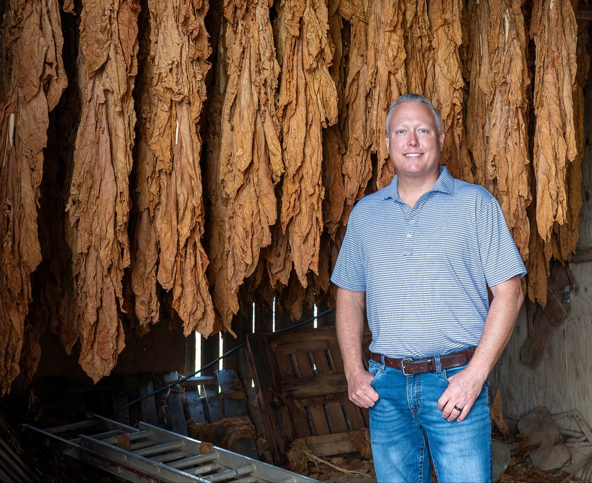 Shannon Denniston tweet media