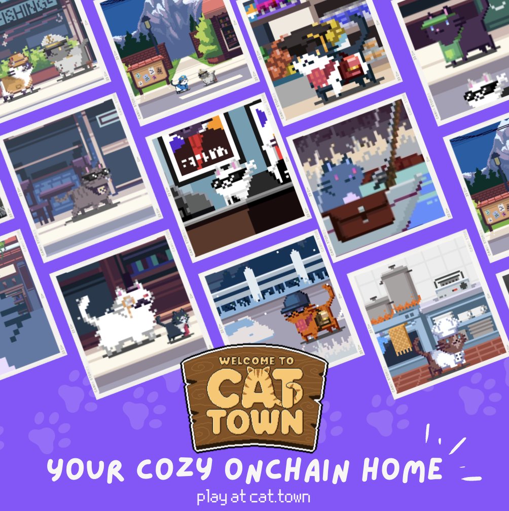 Cat Town tweet media