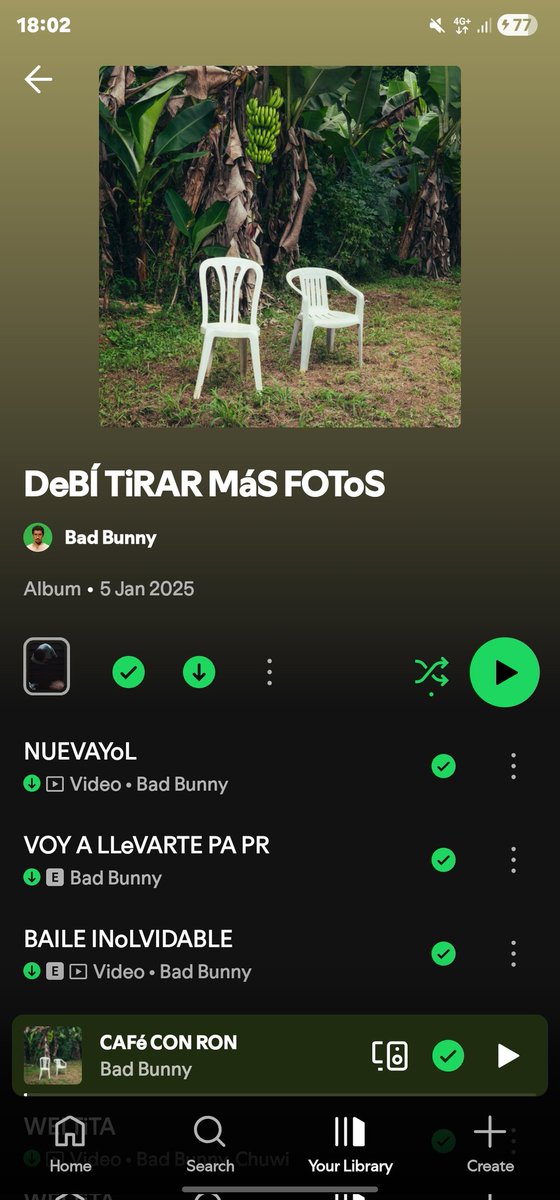 ce 🦎 13sayf truther tweet media