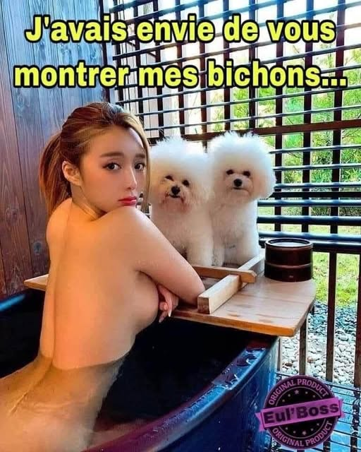 alain CoinCoin tweet media