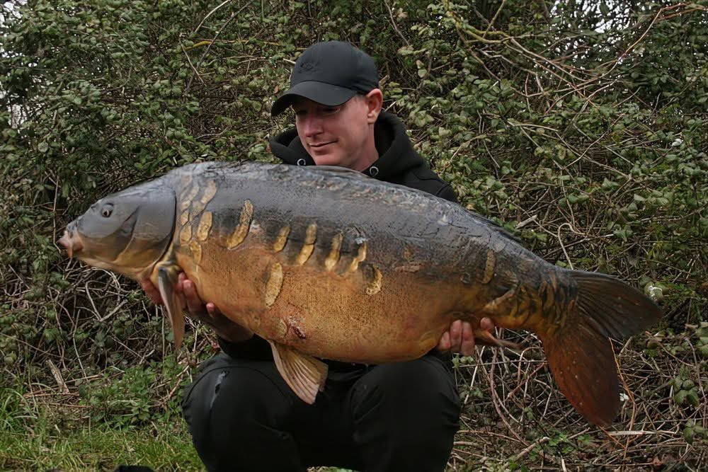 Mainline Baits Official tweet media