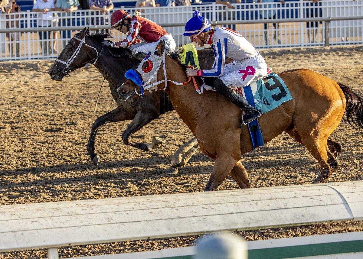 John G. Dooley tweet media