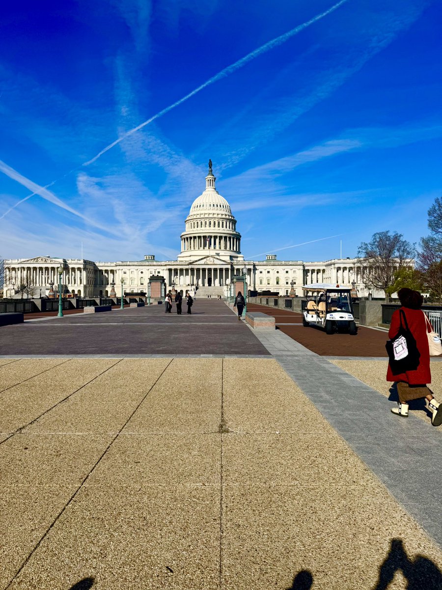 Nick McMichen tweet media