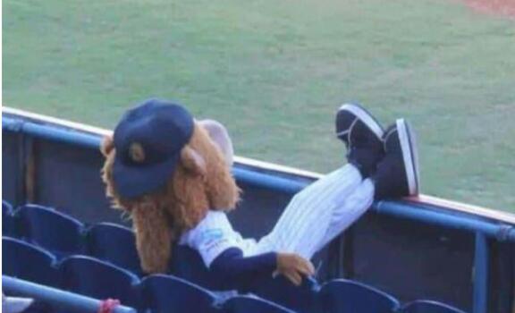 Daniel 🇻🇪 tweet media