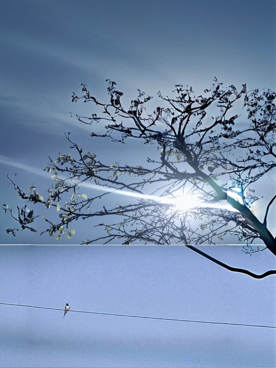 KHR (Khris) tweet media