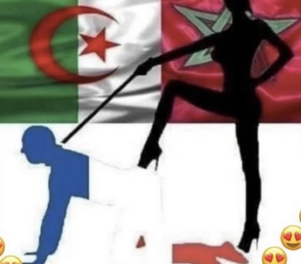 Reine Cruella 🇩🇿🇮🇹🖕 tweet media