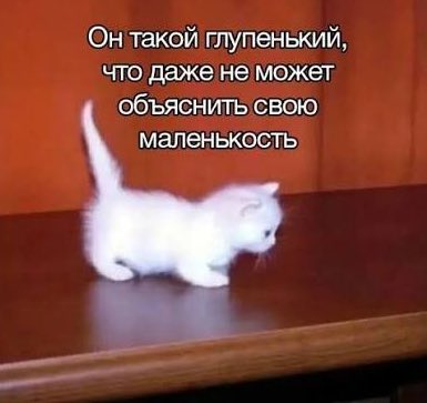 глазная ведьма tweet media