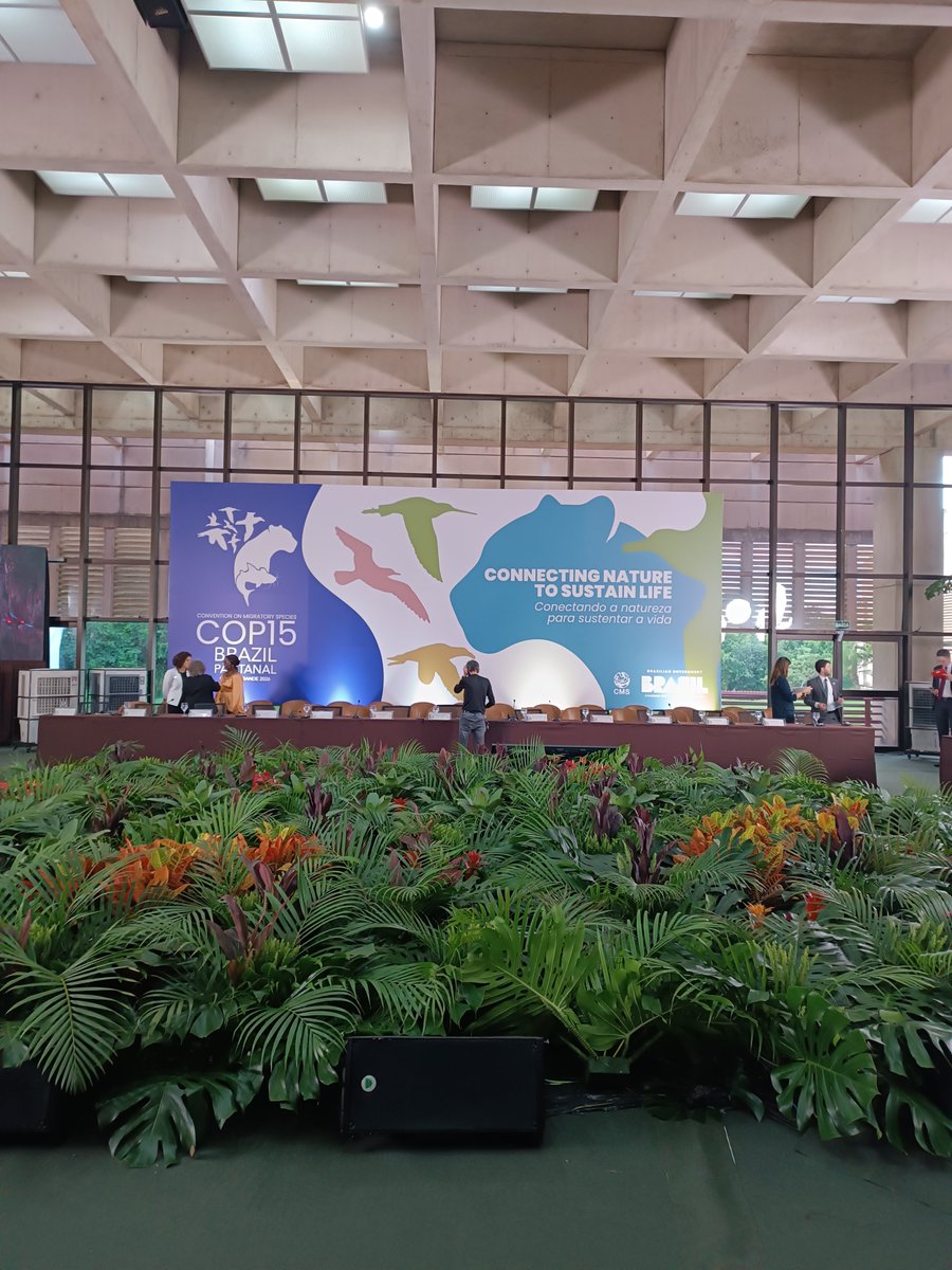 Serbia in Brazil tweet media