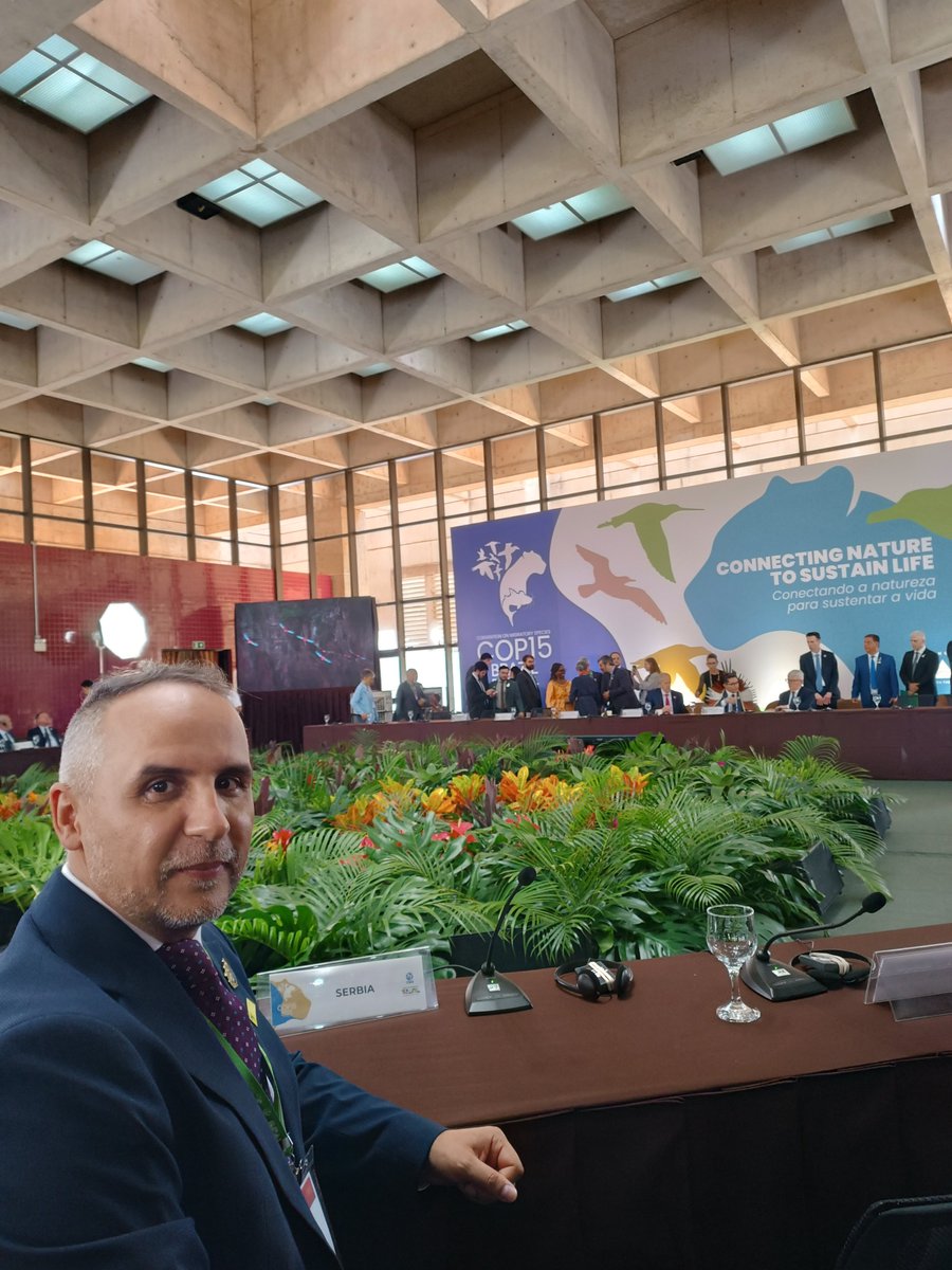 Serbia in Brazil tweet media