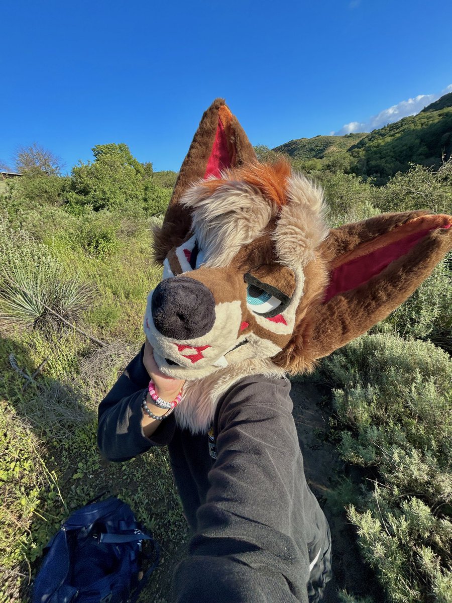 Leuko 🔜 LVFC, FWA tweet media