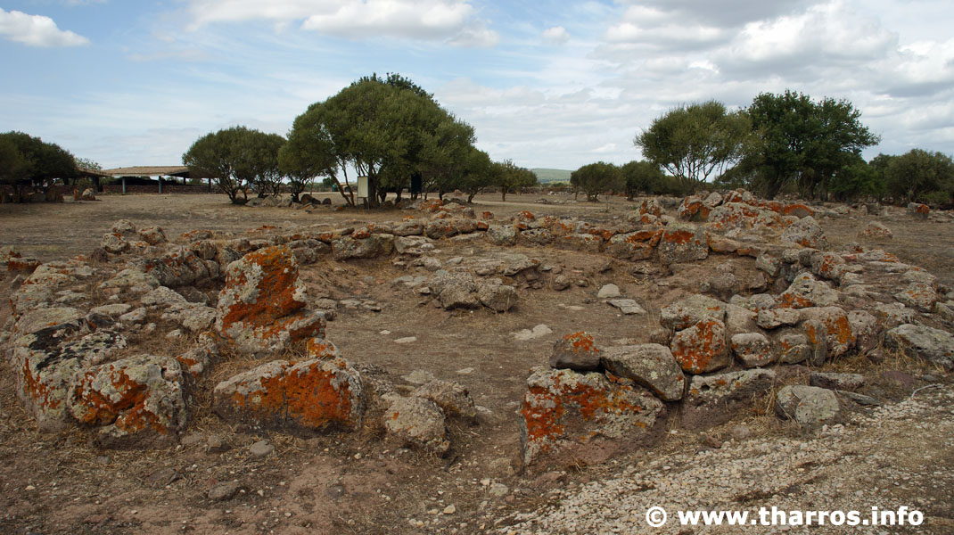 Tharros info tweet media