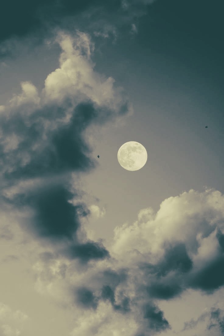 𝑇𝑠𝑢𝑏𝑎𝑠𝑎 tweet media