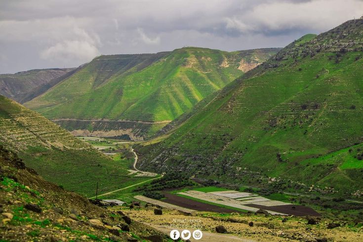 ☪ 𝔅𝔞𝔫𝔞𝔫 tweet media