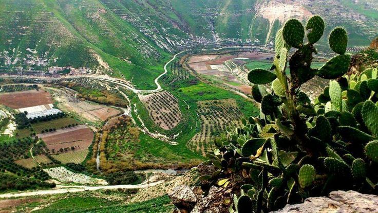 ☪ 𝔅𝔞𝔫𝔞𝔫 tweet media