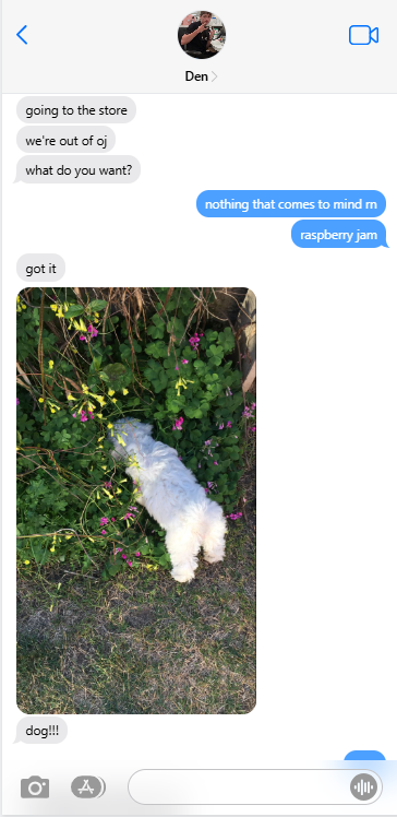 dani in da pitt tweet media