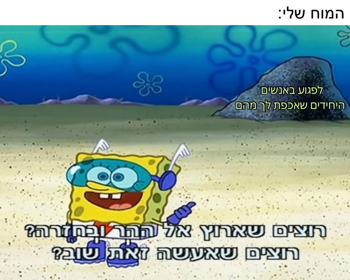 תום האיום tweet media