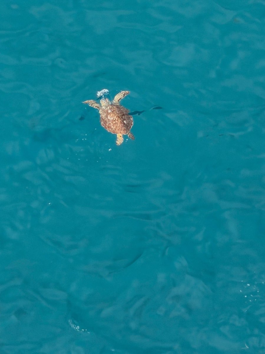 Norma García♔ tweet media