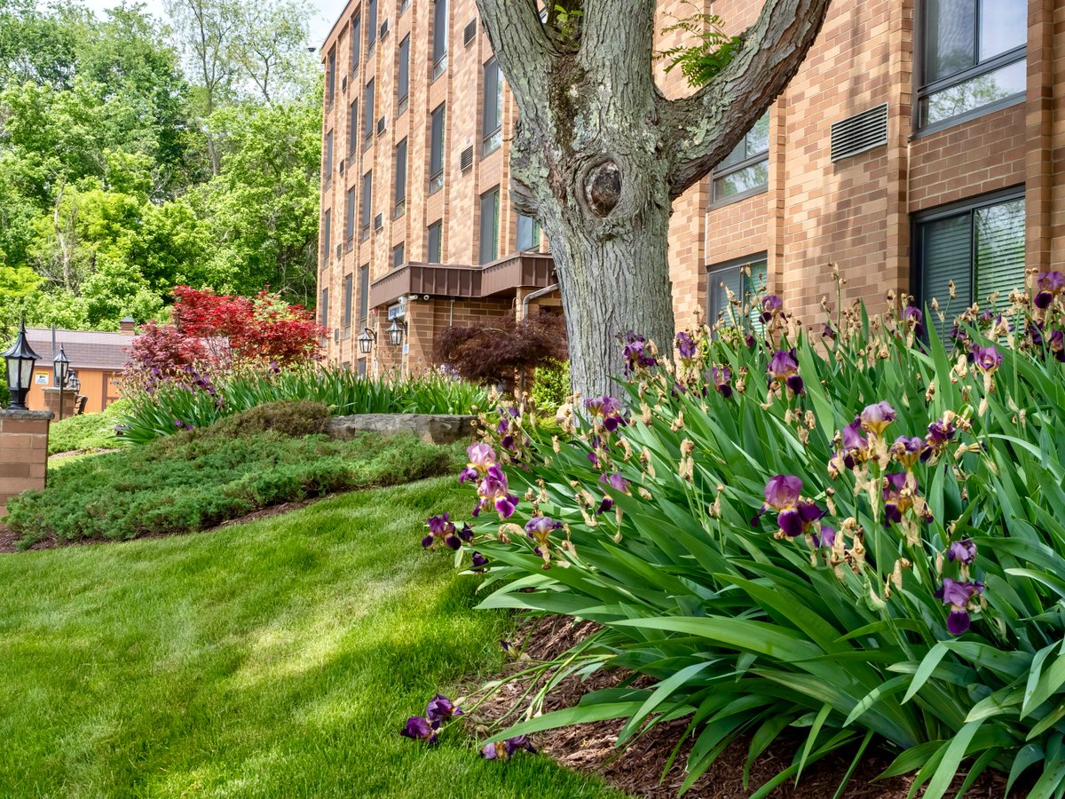 GrowingSeasonsLandscaping tweet media