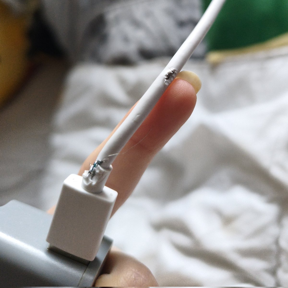 Riri Pipsqueak 🐀 tweet media