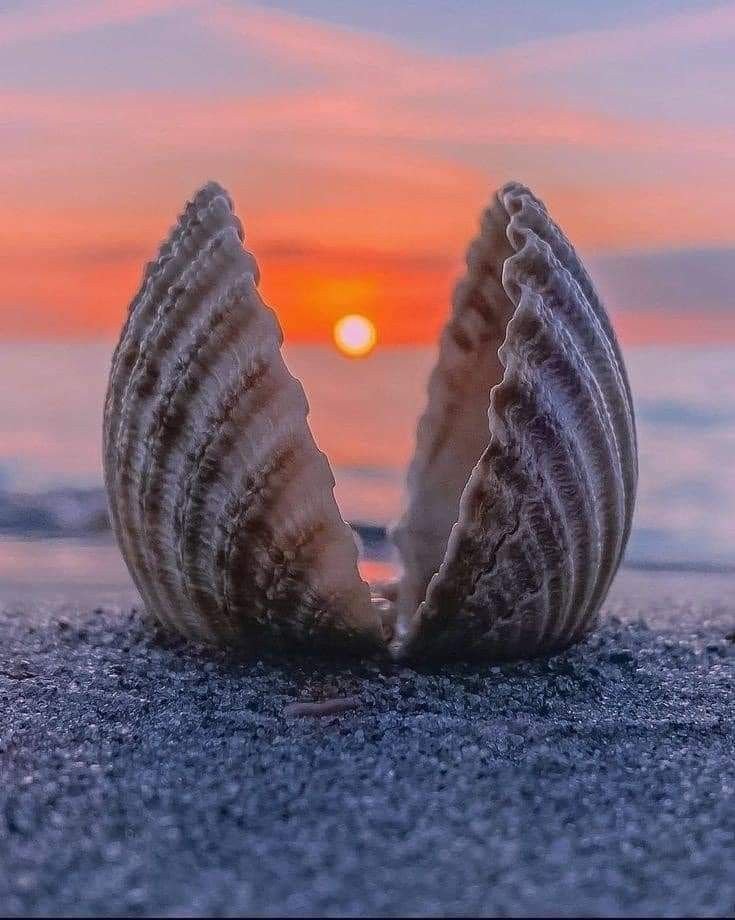 Ⓜ️ⒶⓇⒸ tweet media