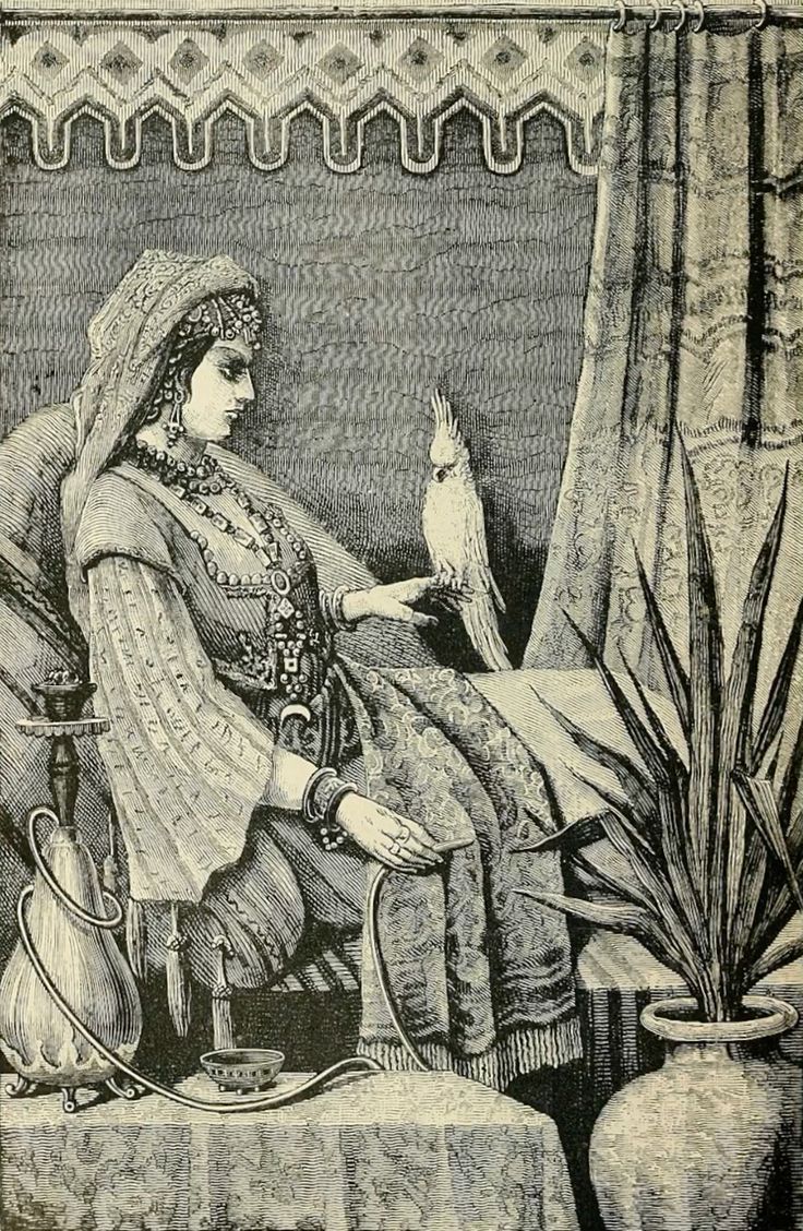 مصطفى tweet media