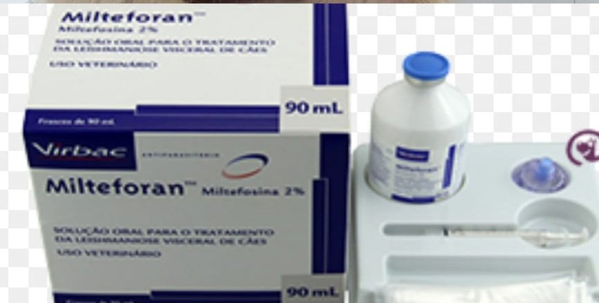 Özge Mert tweet media