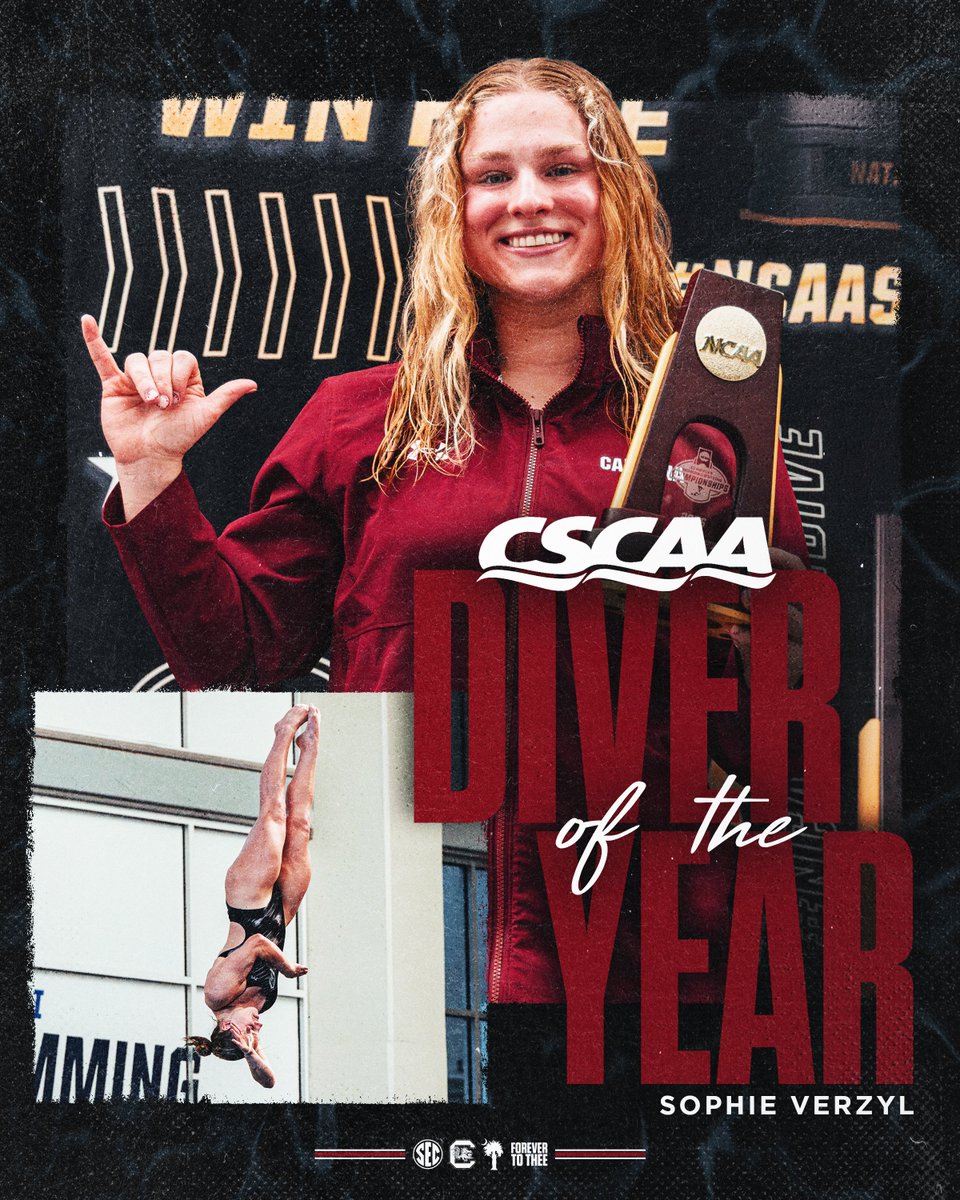 South Carolina Swimming & Diving tweet media