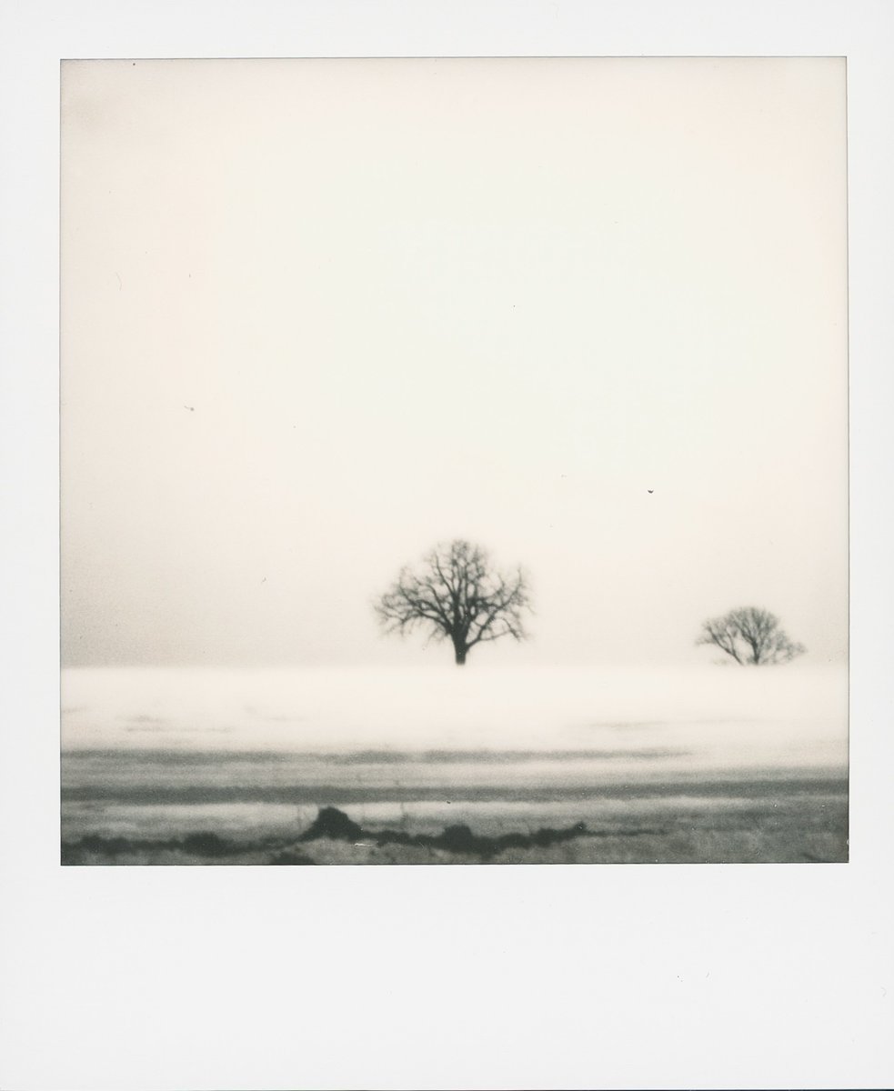 Le Jeu des Micronouvelles tweet media