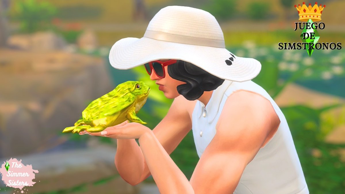 TheSimmerSisters tweet media