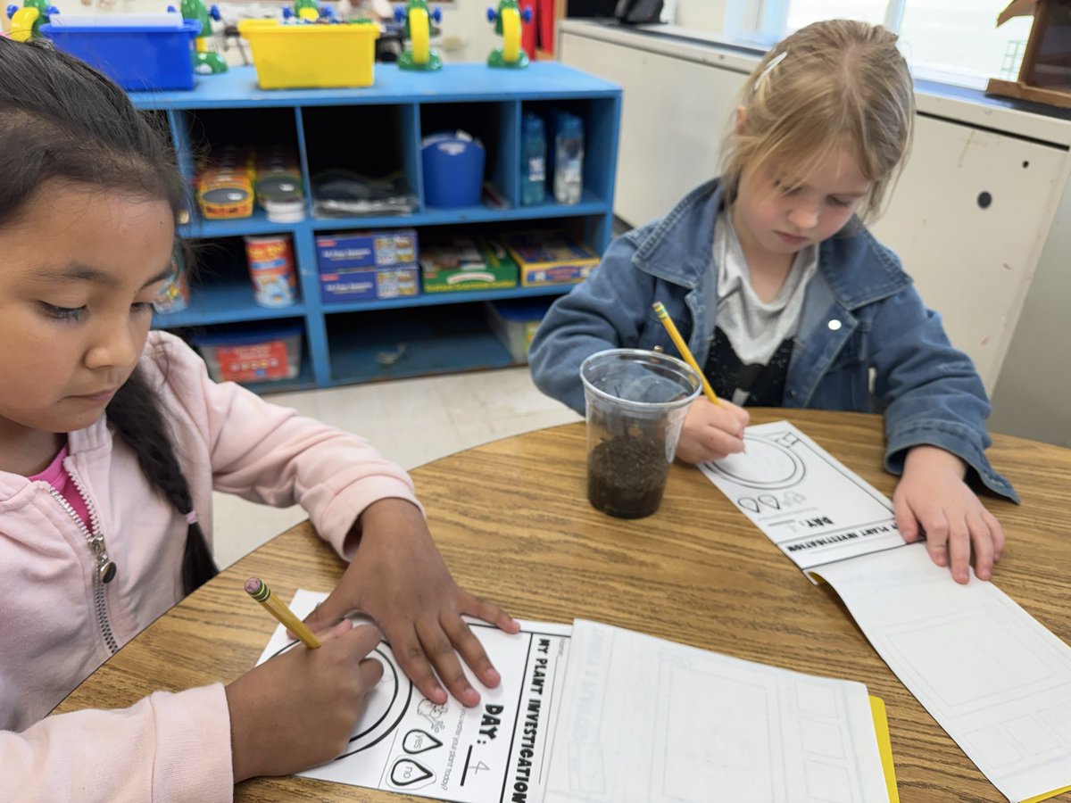 Seeds and their development in our Science Lab at LC Kerr