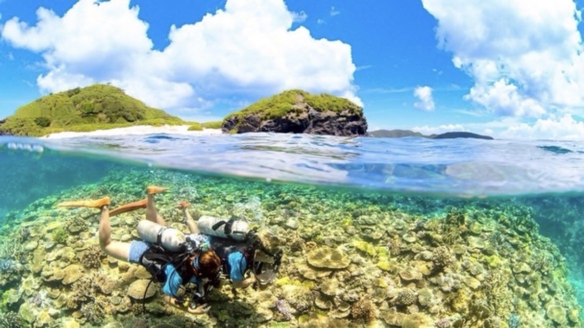 OceanKIDs012's tweet photo. ダイビングの醍醐味は
自然に生きてる生き物たちを
間近で見れること❗️🐠🩵

潜る場所や時期によって見れる生き物も
変わるから何回潜っても楽しいのが、
ダイビングの最大の魅力です！

#春から関東学院大学 #春から駿河台大学 #春から東邦大学 #春から東京工業大学 #春から共栄大学 #春からフェリス https://t.co/OWoZSslLVU
