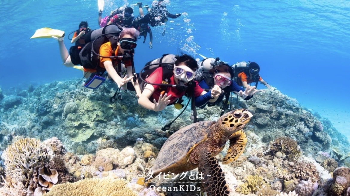 OceanKIDs012's tweet photo. ダイビングの醍醐味は
自然に生きてる生き物たちを
間近で見れること❗️🐠🩵

潜る場所や時期によって見れる生き物も
変わるから何回潜っても楽しいのが、
ダイビングの最大の魅力です！

#春から関東学院大学 #春から駿河台大学 #春から東邦大学 #春から東京工業大学 #春から共栄大学 #春からフェリス https://t.co/OWoZSslLVU