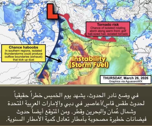 زاهر الشقصي tweet media