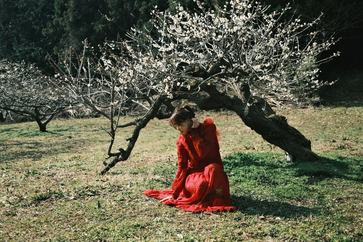 harahorohirehare(はるほろ) tweet media