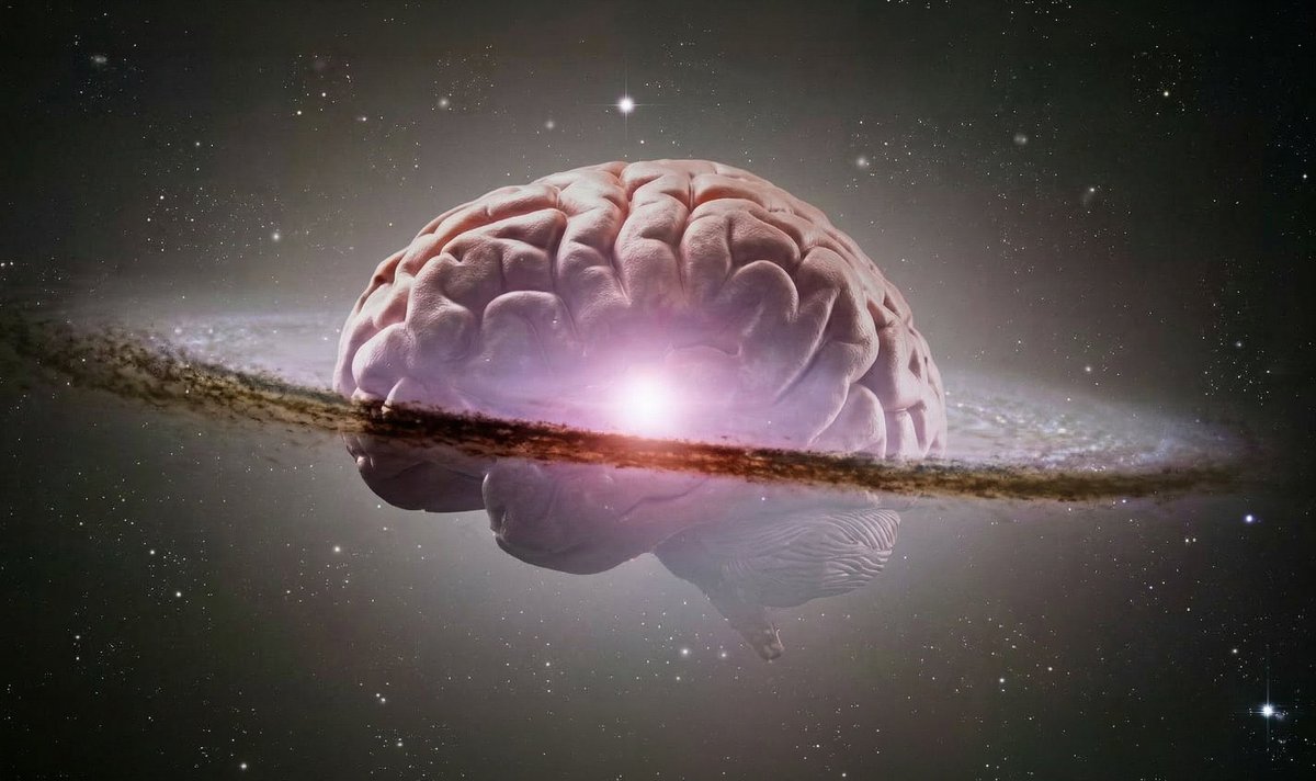 Vida en Positivo tweet media