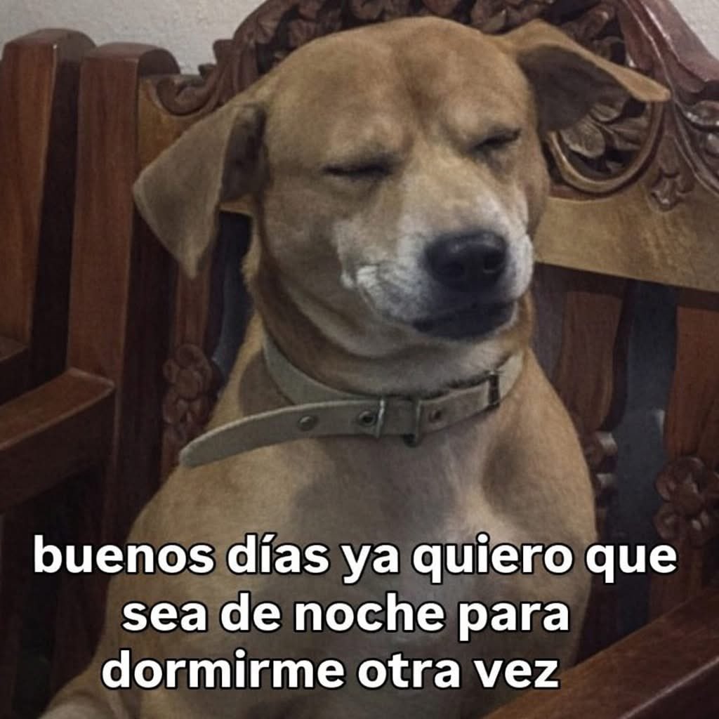 Salvador Iglesias Jr tweet media