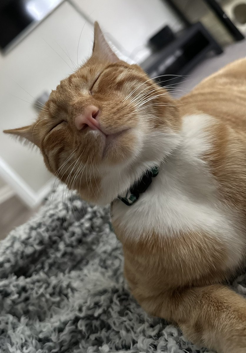 Kumi 🪶🪑 tweet media