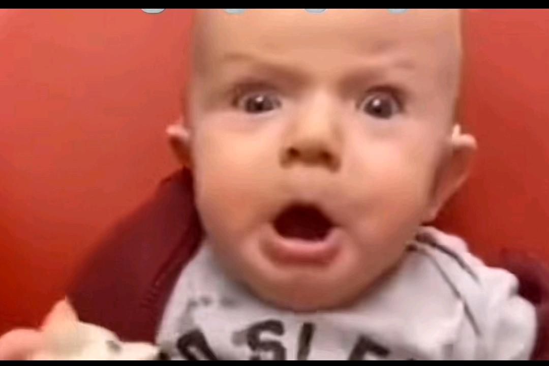 DYNation12's tweet photo. Two women in the bible. 

👩: "That's my baby"
🧕: "No, that's my baby"

King Solomon: "Cut the baby in half and give half to each woman"

The baby ⬇️ https://t.co/AWSif1QJgh
