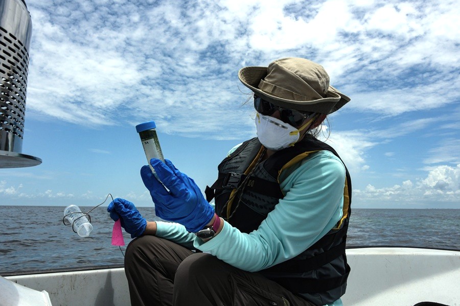 WetTribe's tweet photo. Human-caused nutrient runoff, primarily nitrogen and phosphorus from agricultural fertilizers, sewage, and industrial waste, is the dominant driver of global harmful algal blooms (HABs). #WetTribe #TidetotheOcean #NutrientRunoff #HarmfulAlgalBlooms https://t.co/M8oMRF6zX5